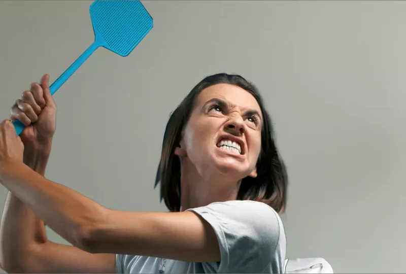 Comment se débarrasser des moustiques ?