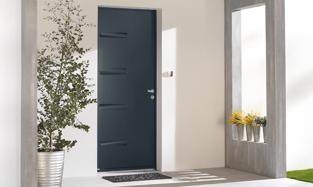 <p>Porte pleine</p>